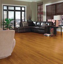 Armstrong Hampton Laminate Flooring Halpin S Flooring America