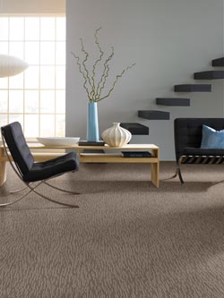 Carpet Flooring In Prairieville La Free In Home Estimates